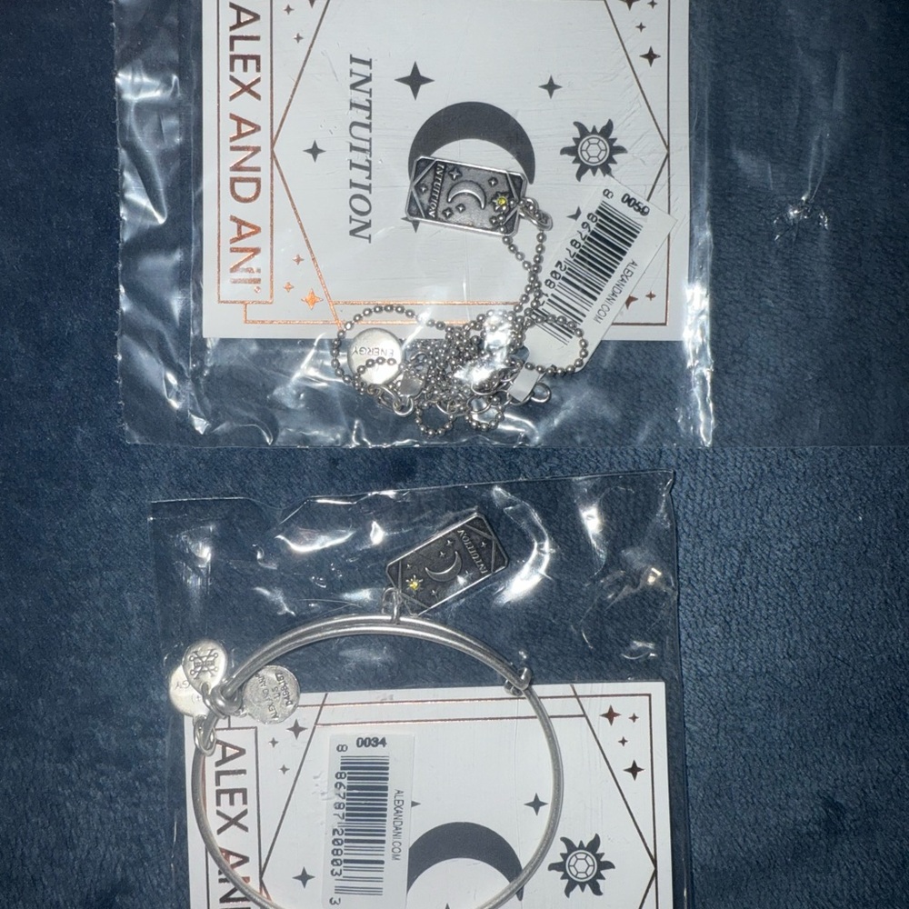 Alex and Ani Silver Intuition Tag Necklace and Bracelet